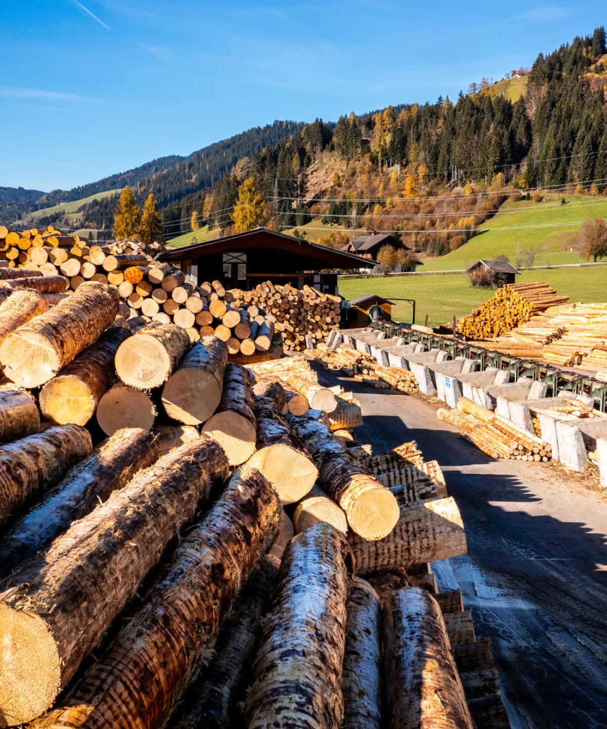 Holzlagerung am Sägewerk Holz Schnell in Flachau © Lorenz Masser Fotografie